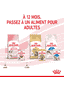 Kitten en sauce - sachet