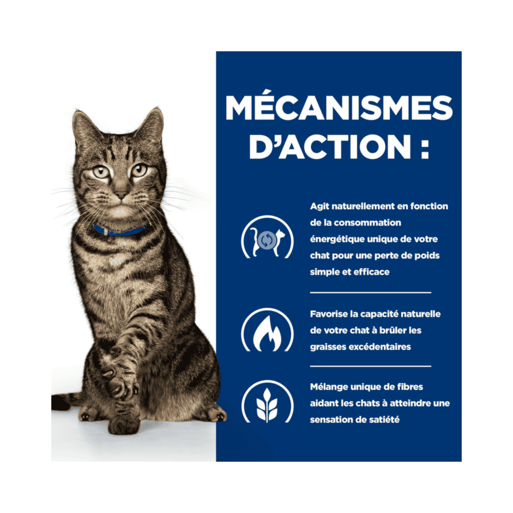 Feline Metabolic Weight & Diabetes Management Salmon