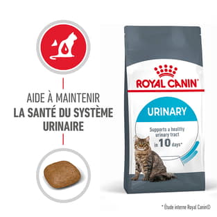 Urinary Care Cat