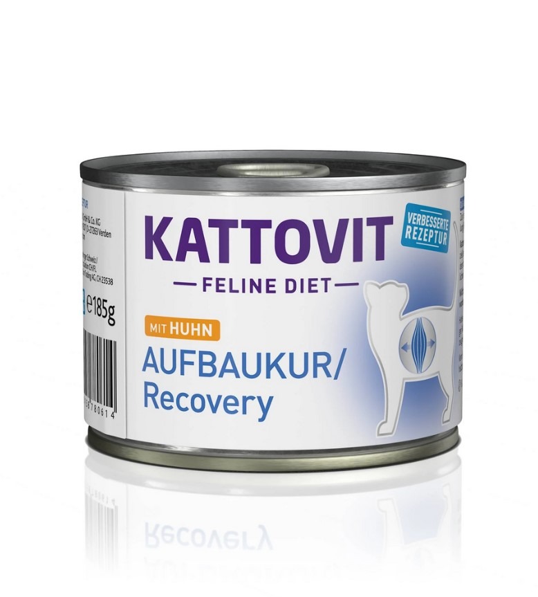 Aufbaukur/Recovery