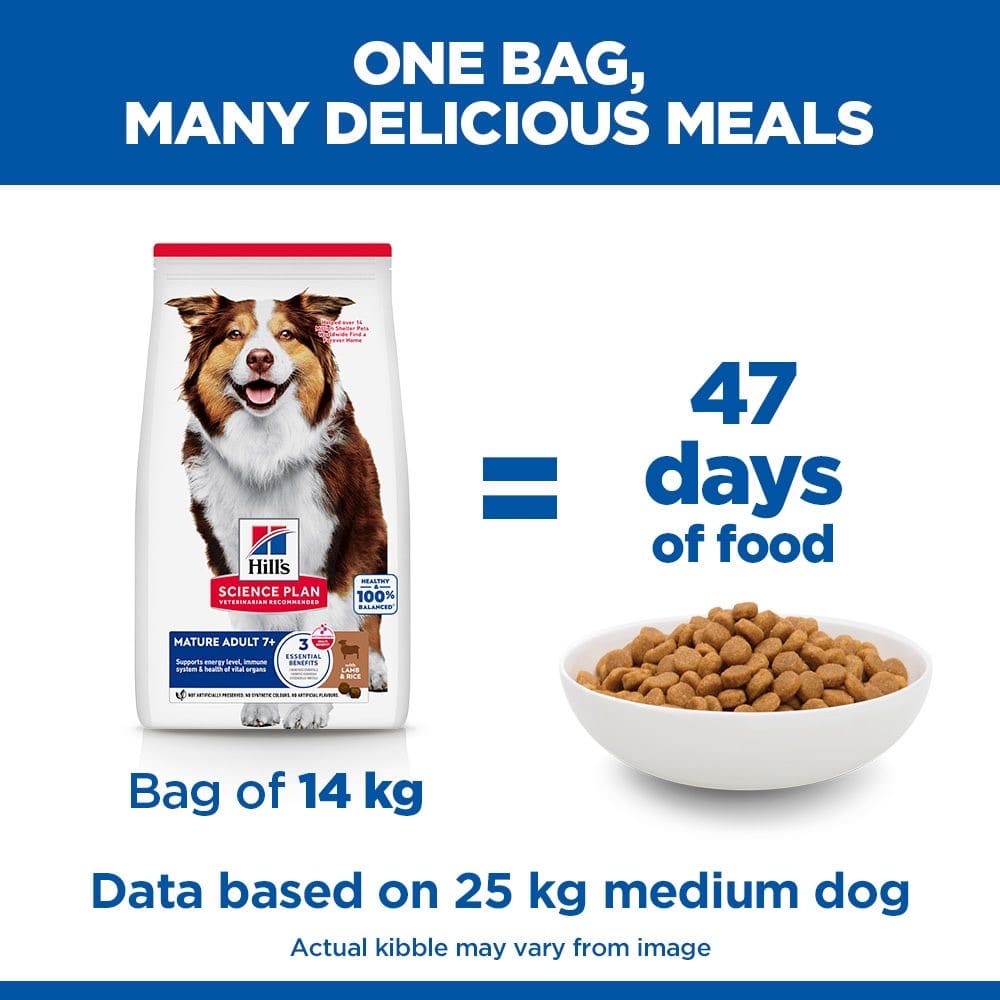 Canine Mature Adult 7+ Medium Breed Lamb & Rice