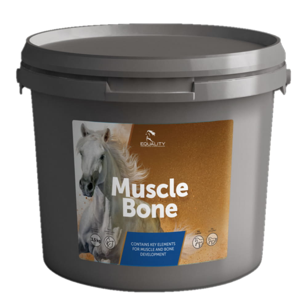 Muscle Bone