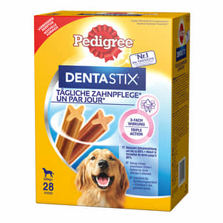 DentaStix large