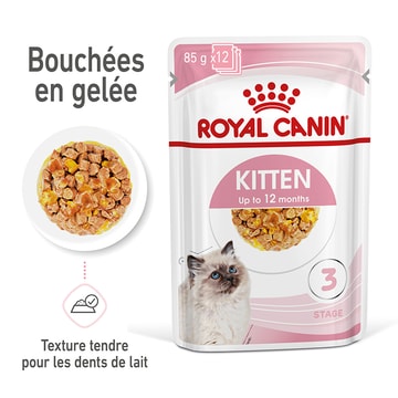 Kitten en gelée - sachet