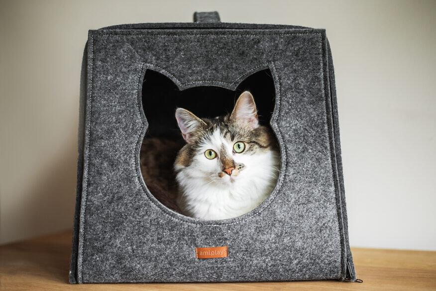 Cat Cube Hygge