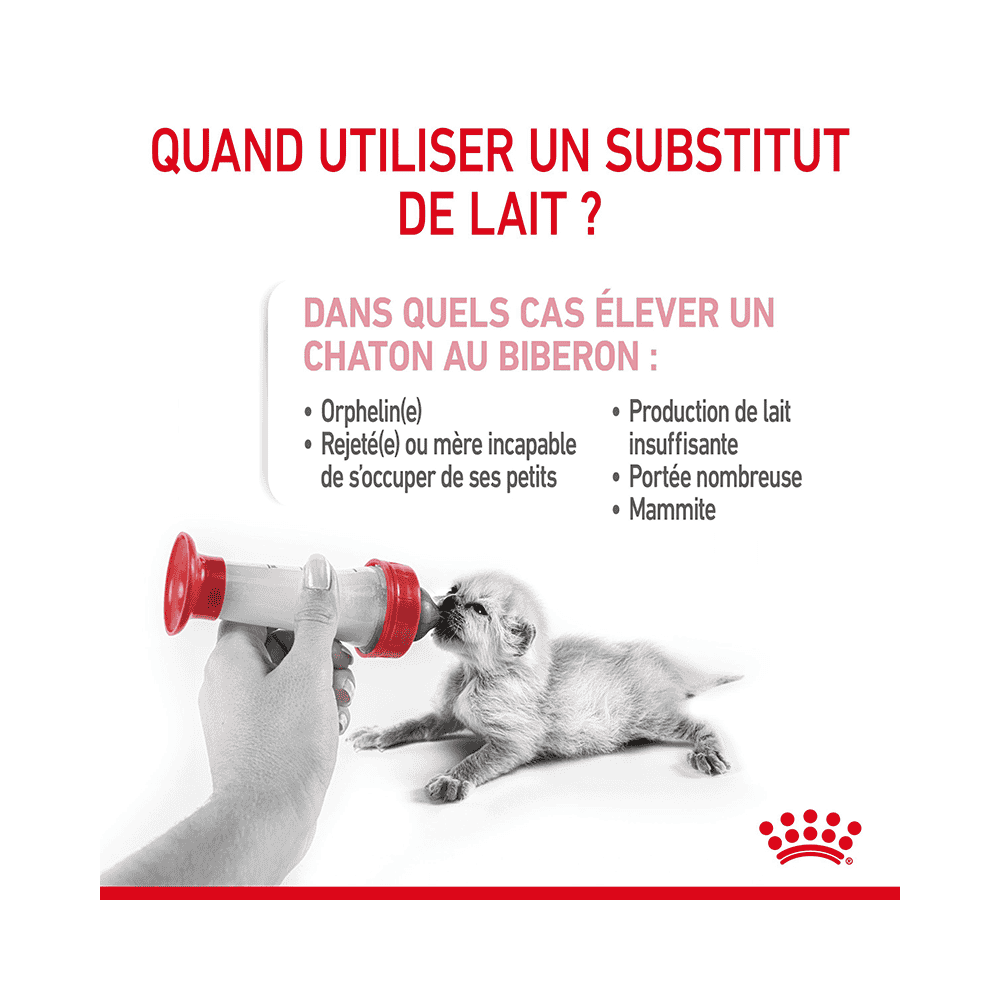 Babycat Milk