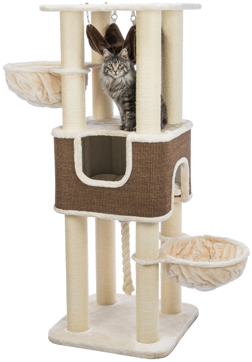 Cat scratcher XXL Humberto