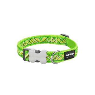 Collar Design Flanno Lime Green