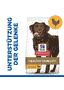 Canine Adult Healthy Mobility Large Breed