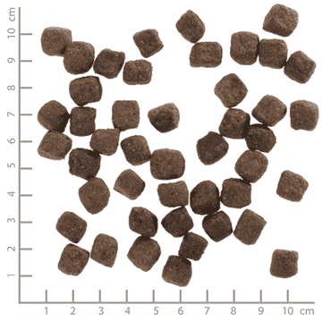 Deep Glade Small Breed Adult