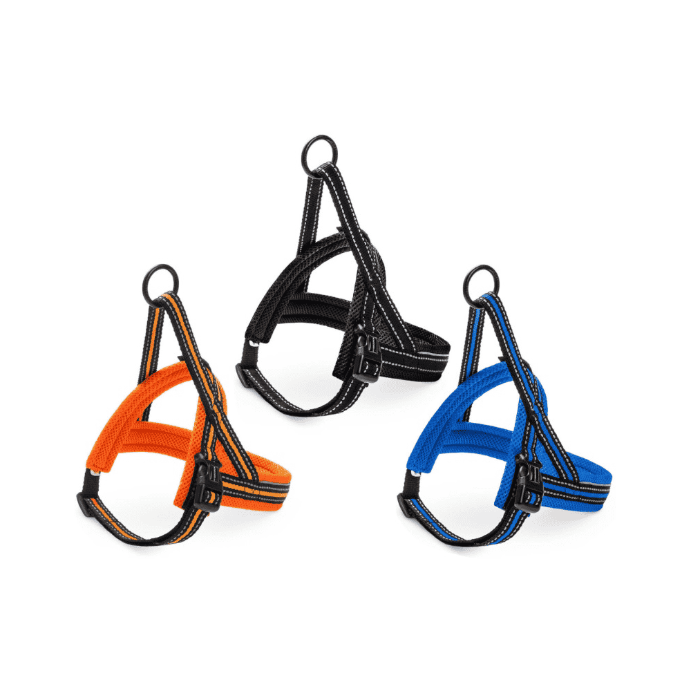 Nordic Sport M harness