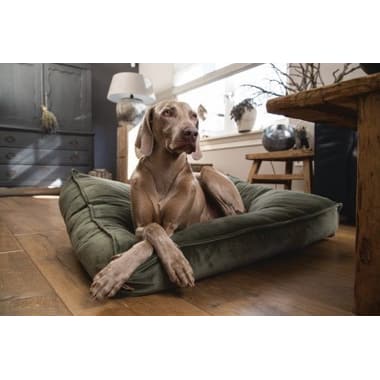 Coussin pour chien Nalino velours