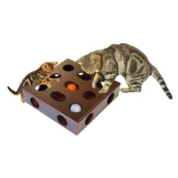 Box de jeu avec balle swisspet pour chats