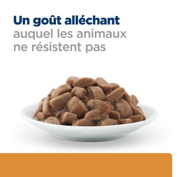 Feline k/d + j/d Kidney + Mobility - Sachet fraîcheur