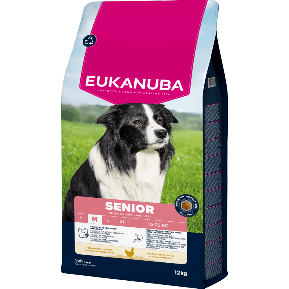 Senior Medium Breed