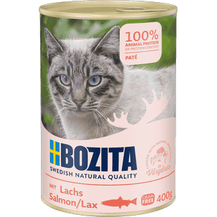 Cat Paté mit Lachs