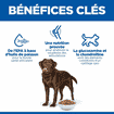 Canine Adult Healthy Mobility Large Breed