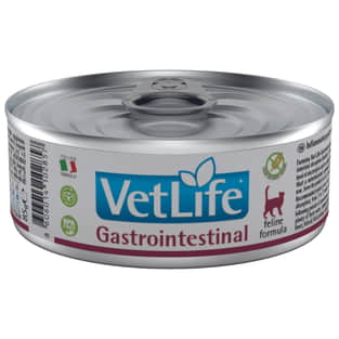 Feline Gastrointestinal - Dose