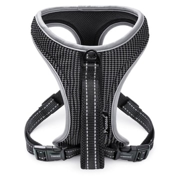 Harnais Sport Soi Noir