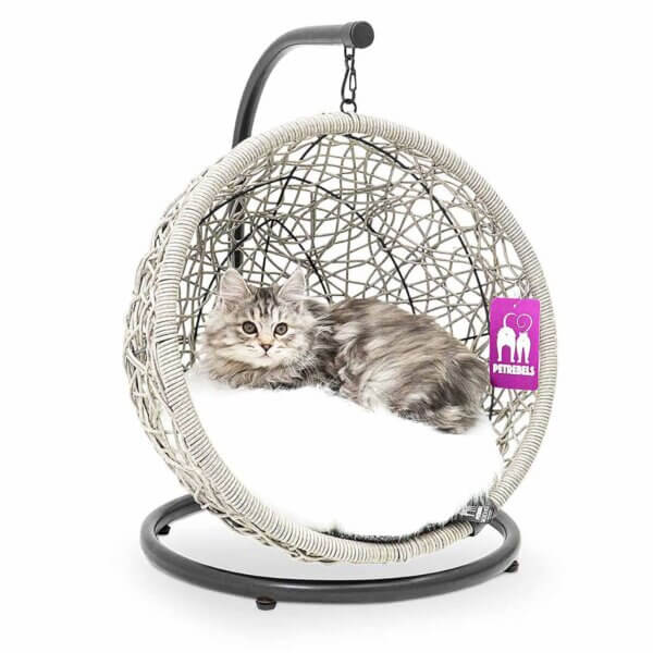 Cat lounge Paris 47