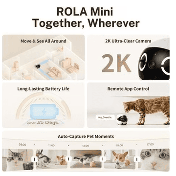 ROLA Mini Companion Robot