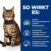 Feline t/d Dental Care