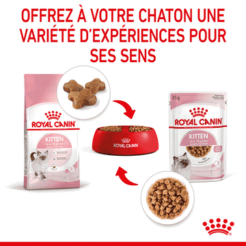 Kitten en sauce - sachet