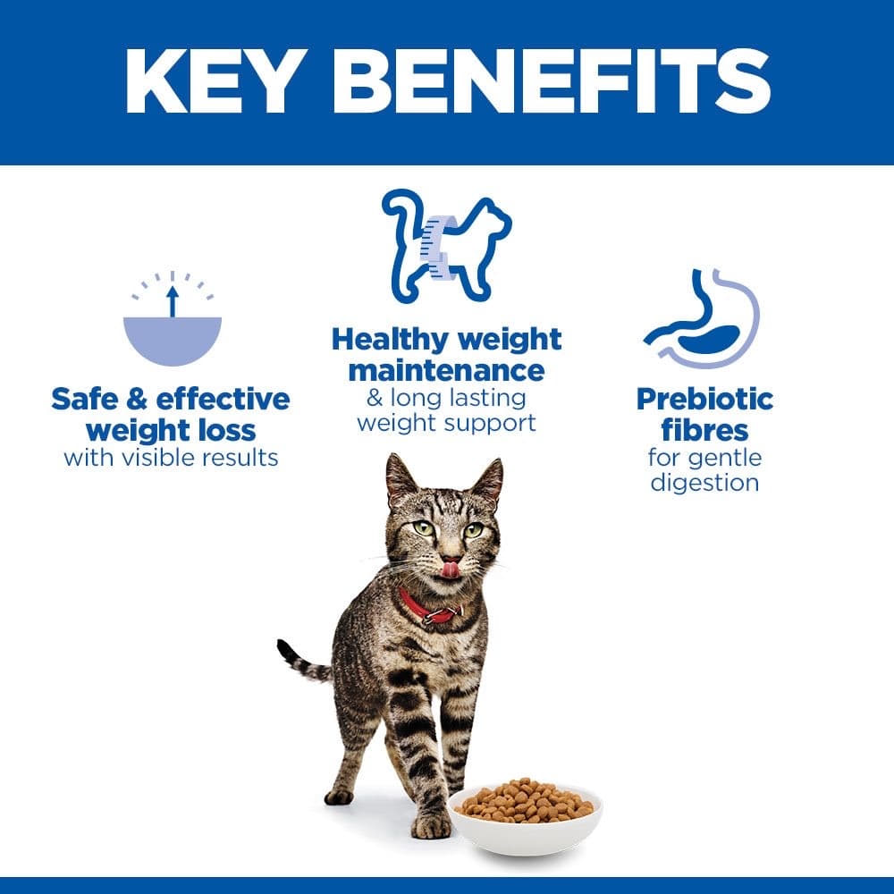 Feline Perfect Weight