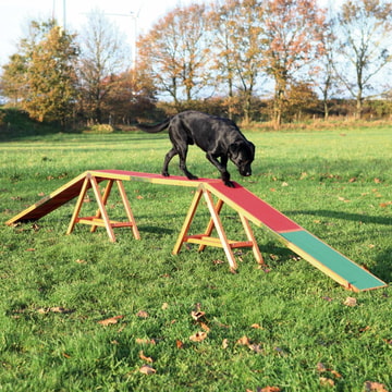 Dog Activity Agility Steg