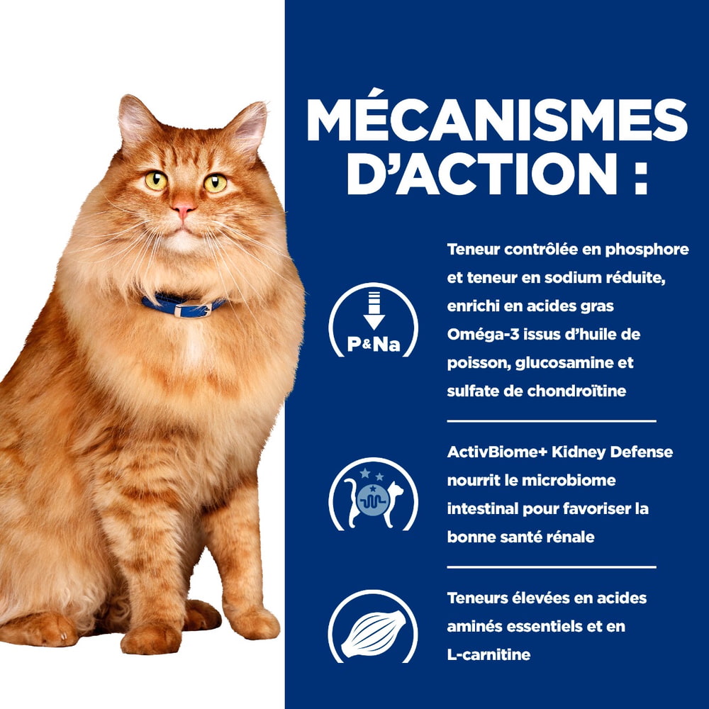 Feline k/d + j/d Kidney + Mobility - Sachet fraîcheur