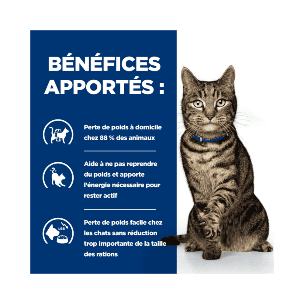 Feline Metabolic Weight & Diabetes Management Salmon