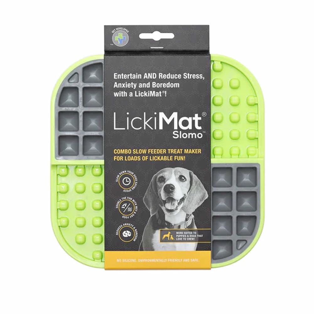 Slomo Dog