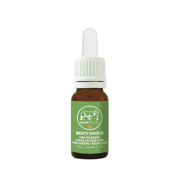 BEKI'S CHOICE CBD Pflegeöl 100mg für Katzen