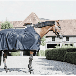 Couverture anti-mouches Mesh