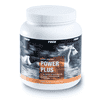 Horse Dynamic POWER PLUS + Magnesium + Lysine