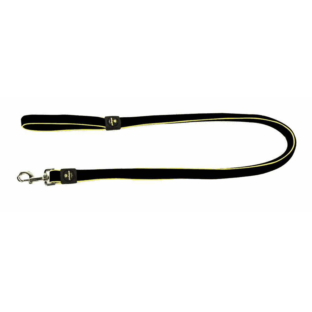 Active Dog city leash