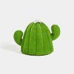 Haus Oasis Cactus