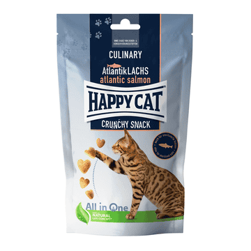 Culinary Crunchy Snack