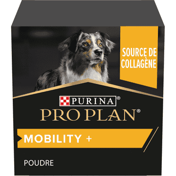 Dog Mobility +
