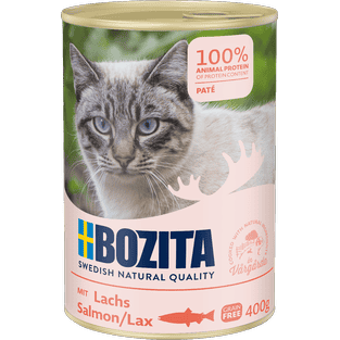 Cat Paté mit Lachs