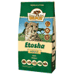 Adult Etosha