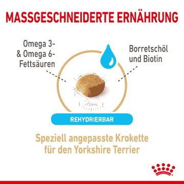 Yorkshire Terrier 8+
