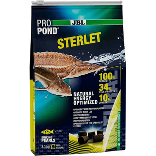 PRO POND Sterlet