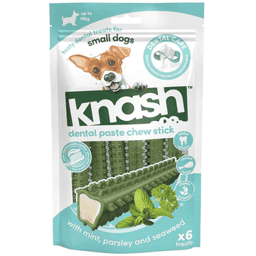 Dental Paste Chew Stick with mint