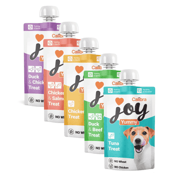 Dog Yummy Treats