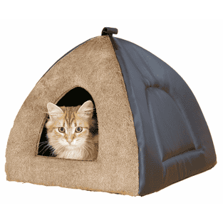 Katzen Iglu Bali