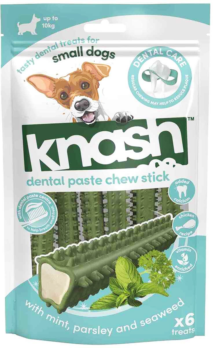 Dental Paste Chew Stick with mint