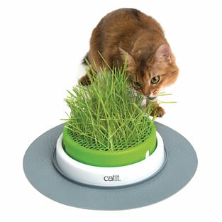 Senses 2.0 Grass Planter