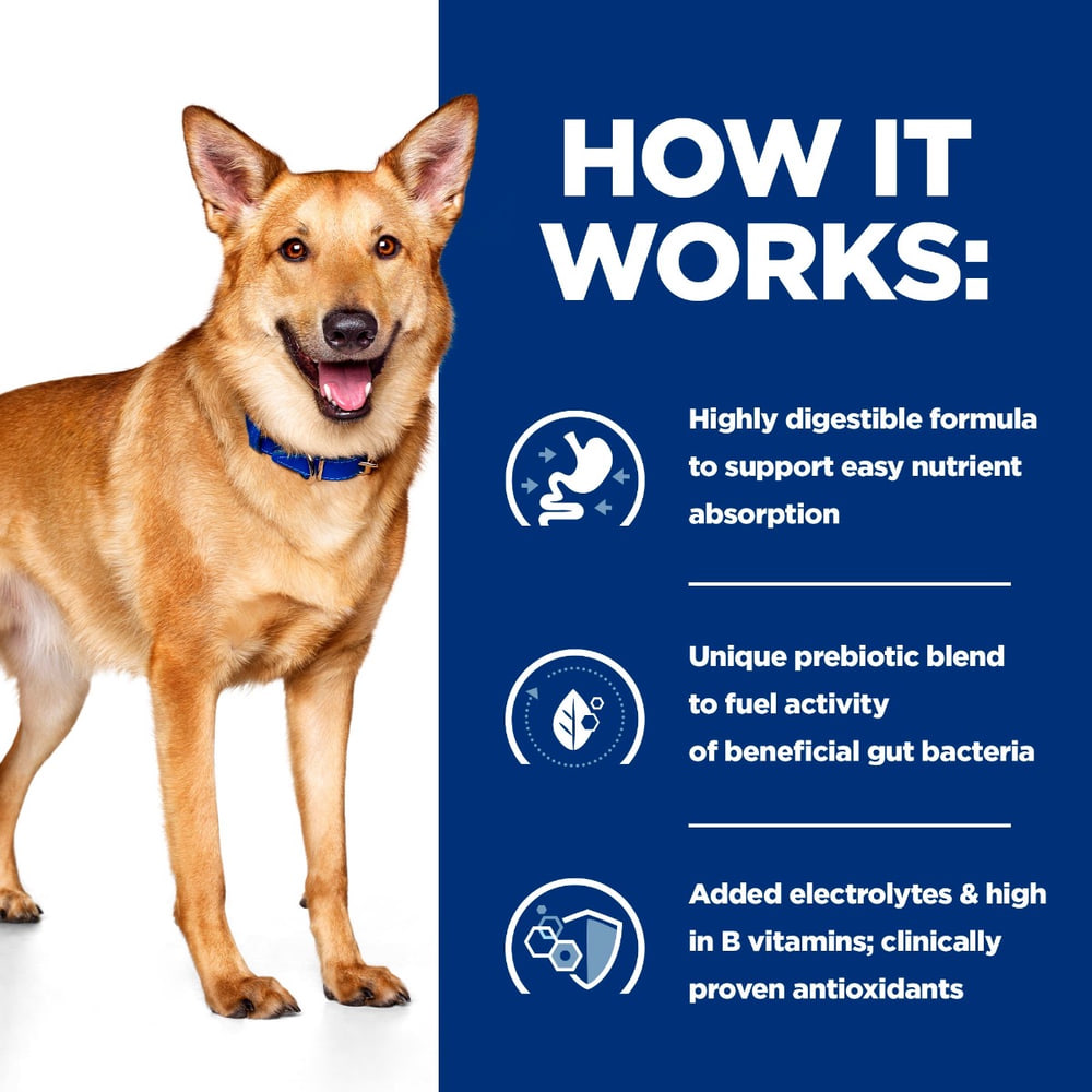 Canine i/d Digestive Care Turkey - Can