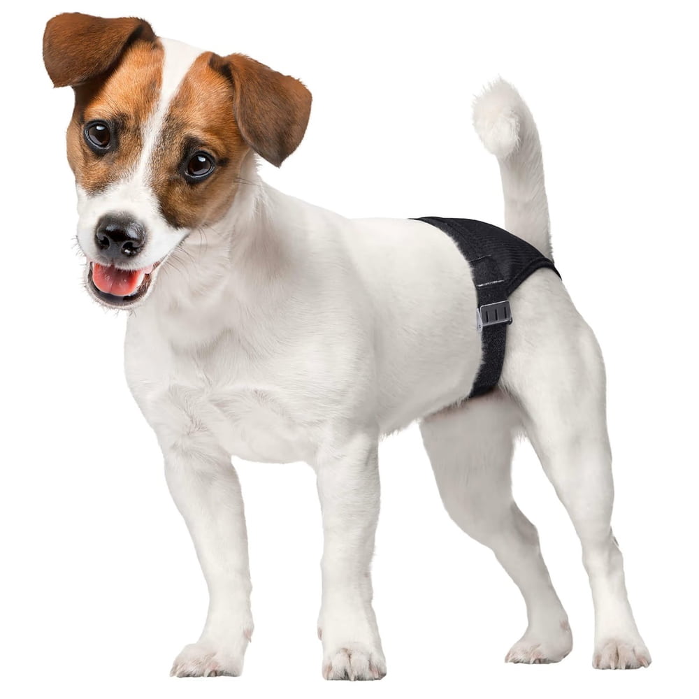Dog Pants